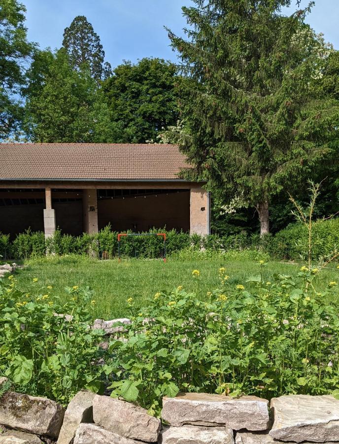 Manoir La Cerise Bed & Breakfast Fougerolles-Saint-Valbert Bagian luar foto